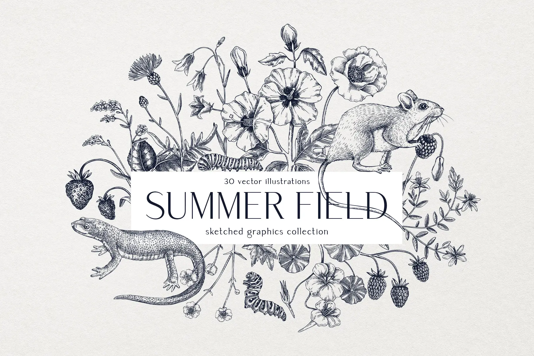 Wildflower sketches. Hand-drawn vector illustrations. Summer field. Vintage floral designs.  Illustration